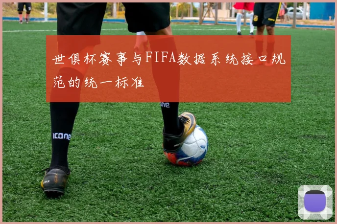 世俱杯赛事与FIFA数据系统接口规范的统一标准