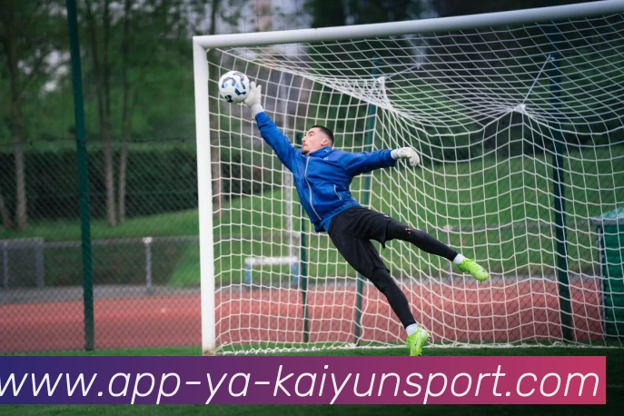 开云APP发展历程